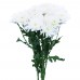 White Chrysanthemum Spray Cushion