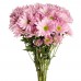 Pink Chrysanthemum Spray