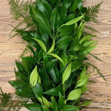 Cocculus Asparagus Plumosus Garland