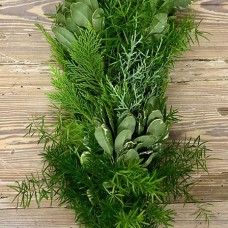 Asparagus Sprengeri Var Pitt Garland