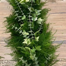 Plumosa Baby Euc Garland