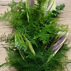 Plumosus Baby Euc Aspidistra Garland