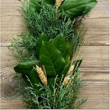 Salal Wheat Carolina Sapphire Garland