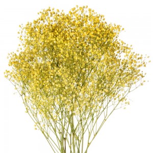 Yellow Tinted Baby's Breath