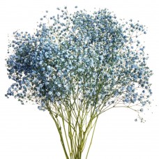 Blue Tinted Baby's Breath