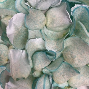 Blue Rose Petals